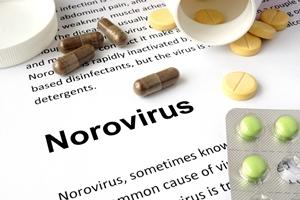 NOROVIRUS_iStock_000064796535Large.jpg